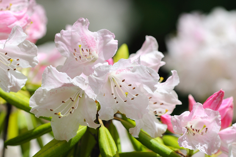 image0138