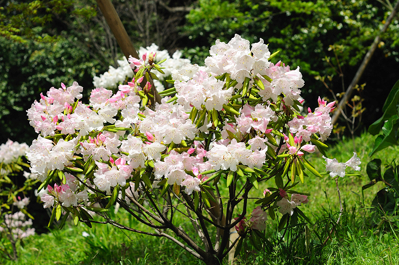 image0145