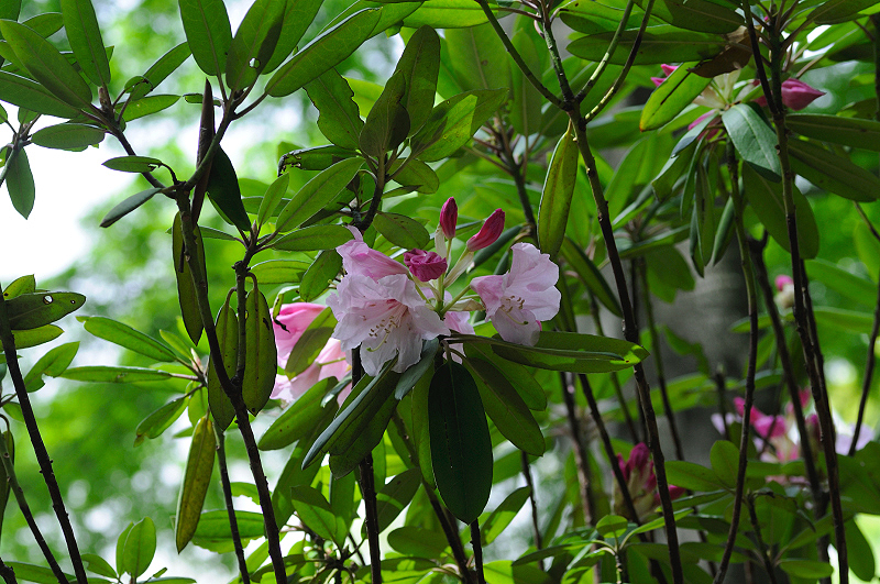 image0147