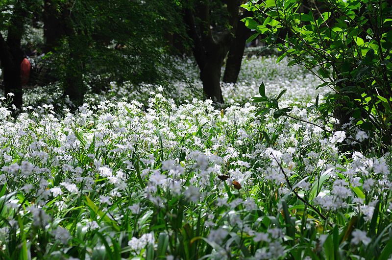 image0148