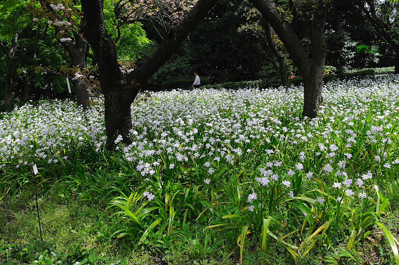 image0150