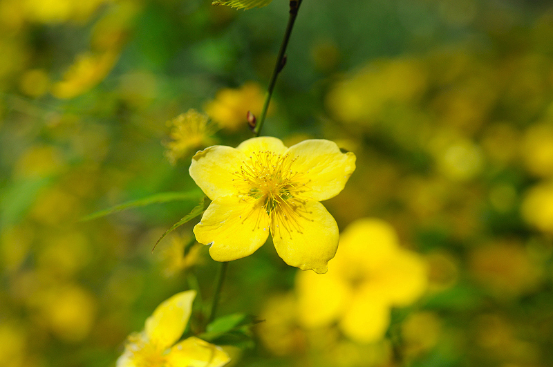image0153