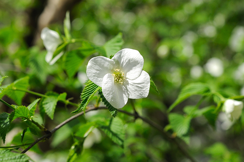 image0157