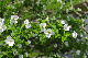 image0160