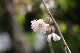 image0165