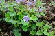 image0166