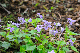 image0167
