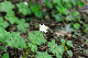 image0168