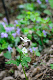 image0171