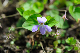 image0172