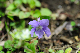 image0173