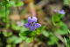 image0174