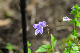 image0175