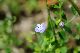 image0176