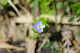 image0177