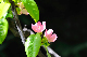 image0181