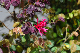 image0183