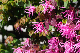 image0185