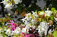 image0187