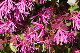 image0188