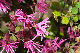 image0189