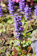 image0190