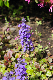 image0191