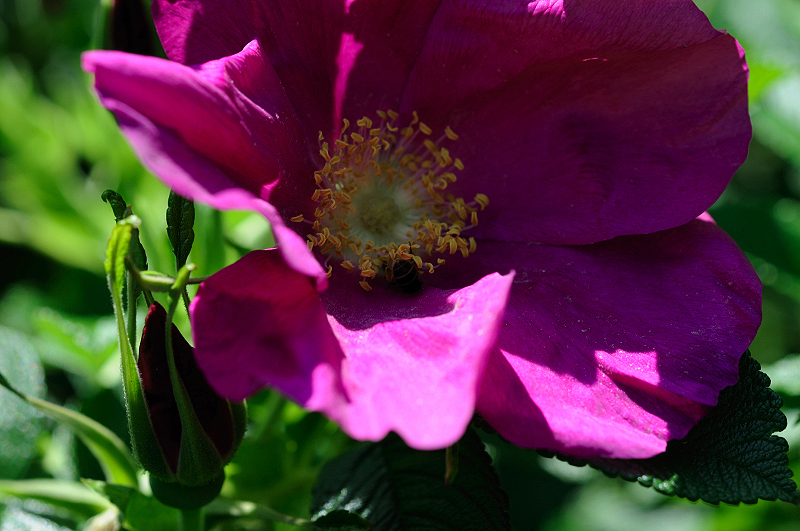 image0098