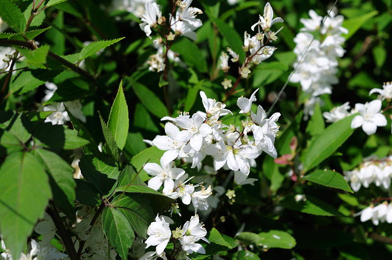 image0103