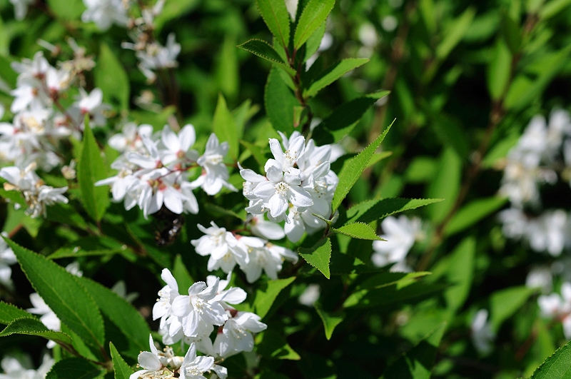 image0104