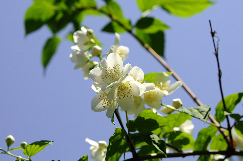 image0107
