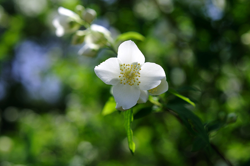 image0111