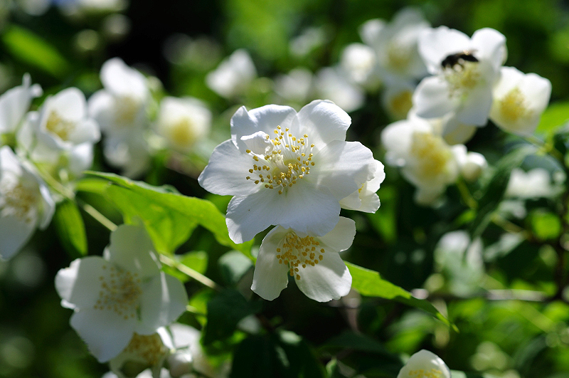 image0113