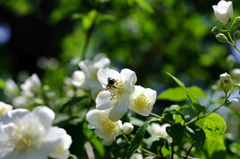 image0114