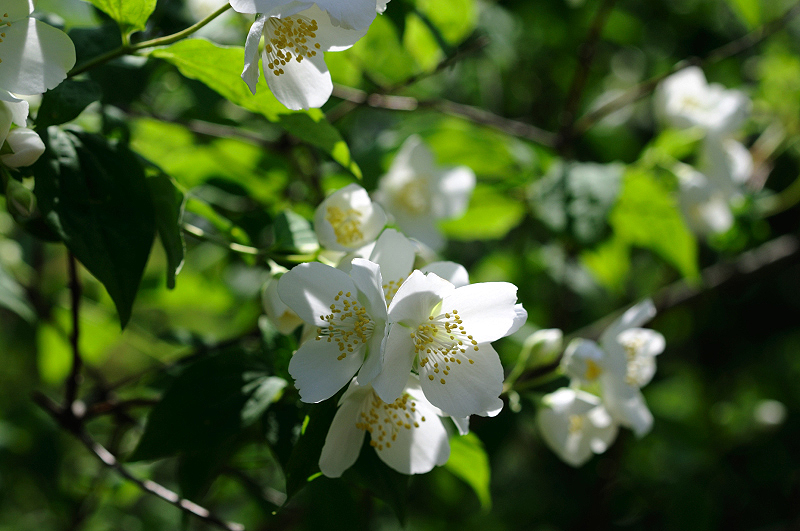 image0115