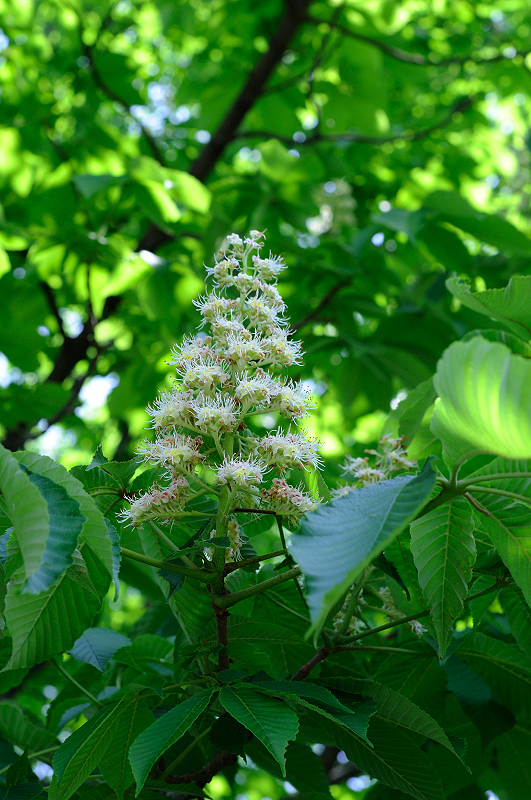 image0117