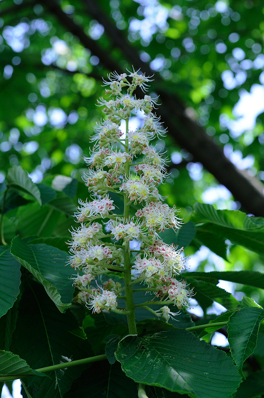 image0118