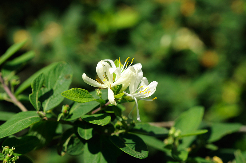 image0119