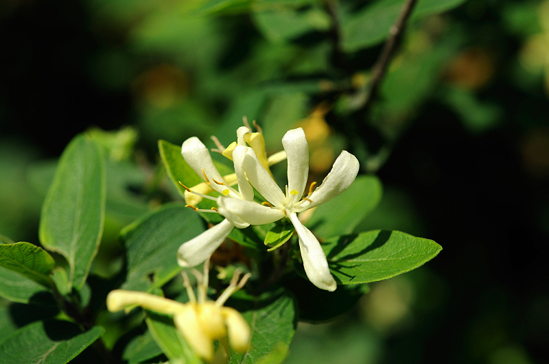 image0121