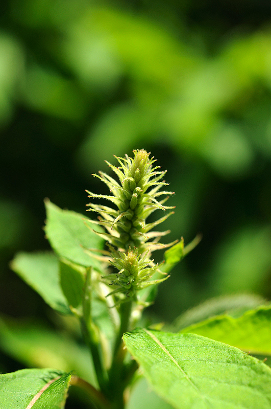 image0122
