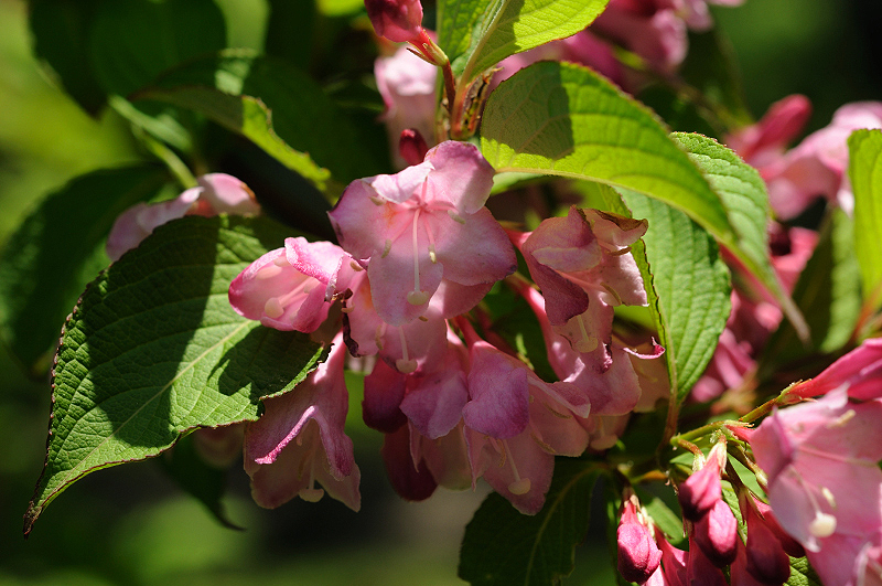 image0123