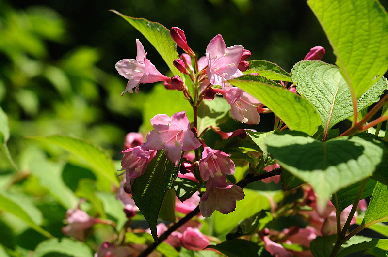 image0124