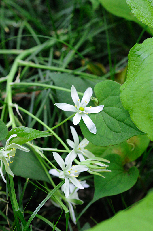 image0126