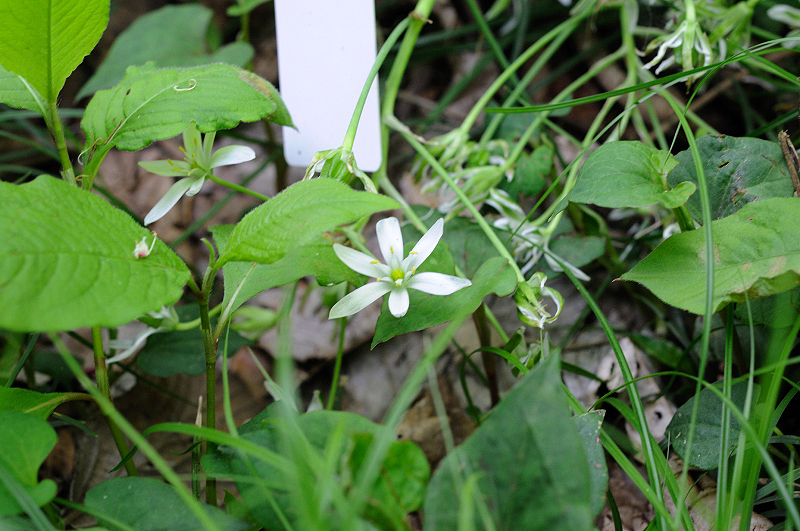 image0127