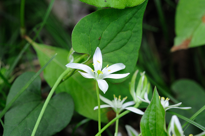 image0128