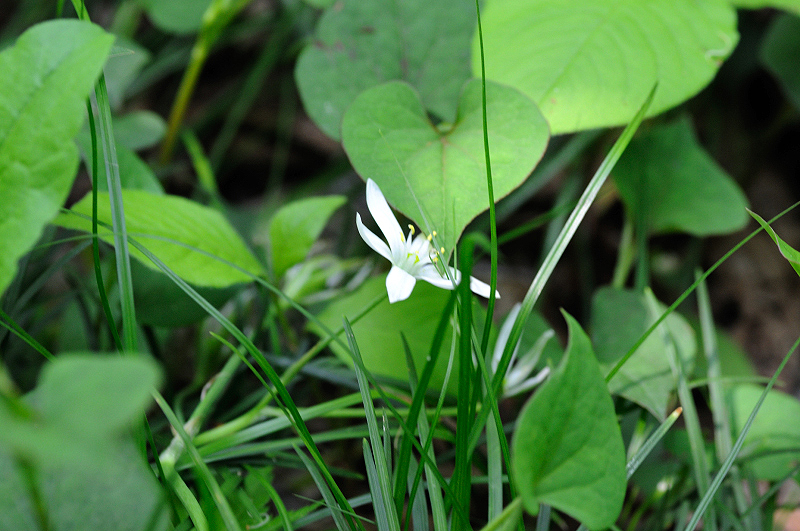 image0129