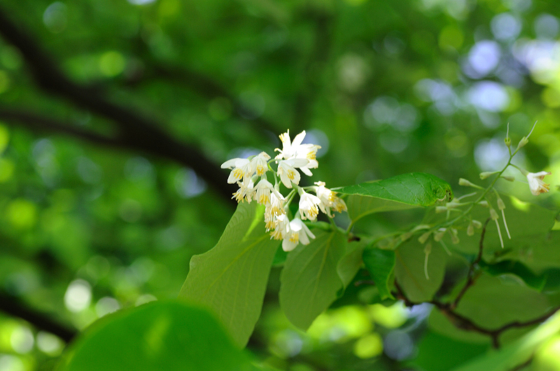 image0135