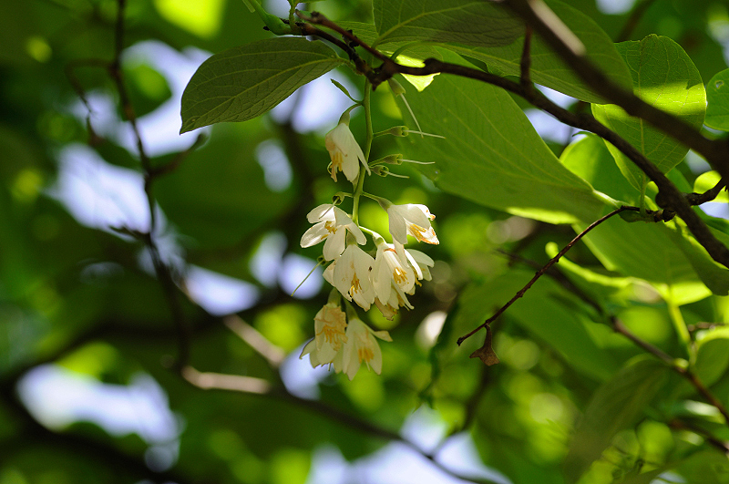 image0137