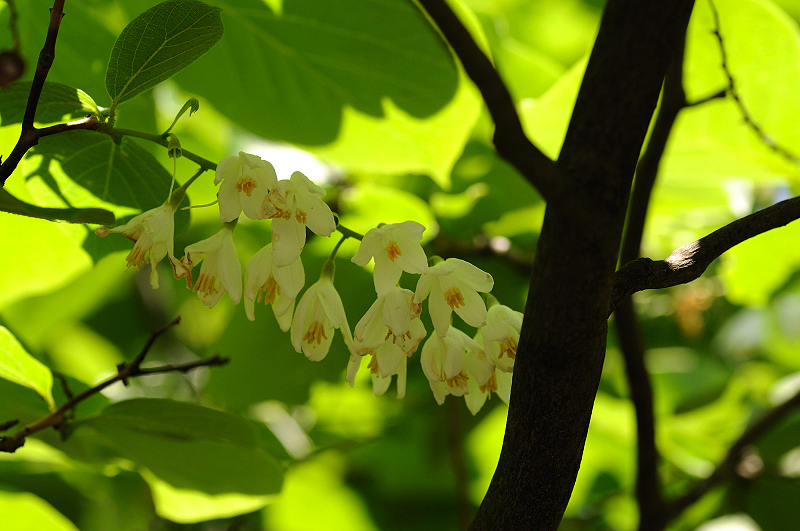 image0138