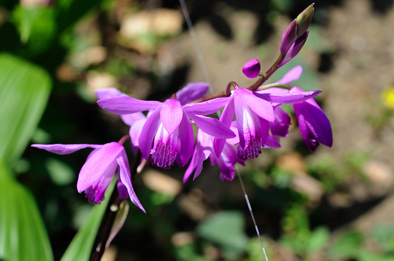 image0140